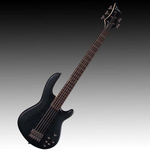 Bass Guitar Case