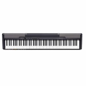 Casio CDP100 Keyboard Flight Case