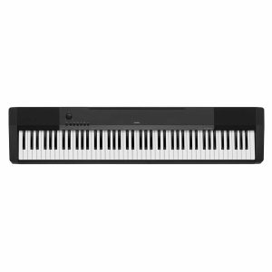 Casio CDP120 Keyboard Flight Case